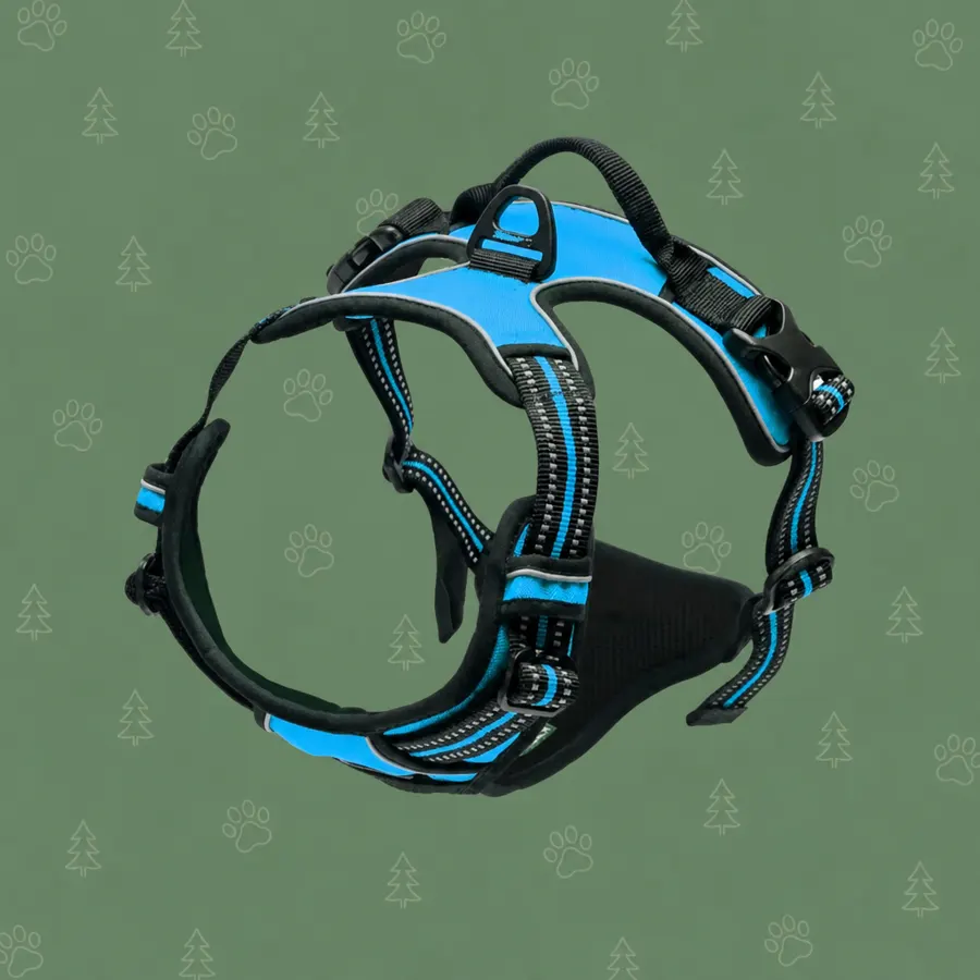 Harnais Classique clip frontal coloris bleu