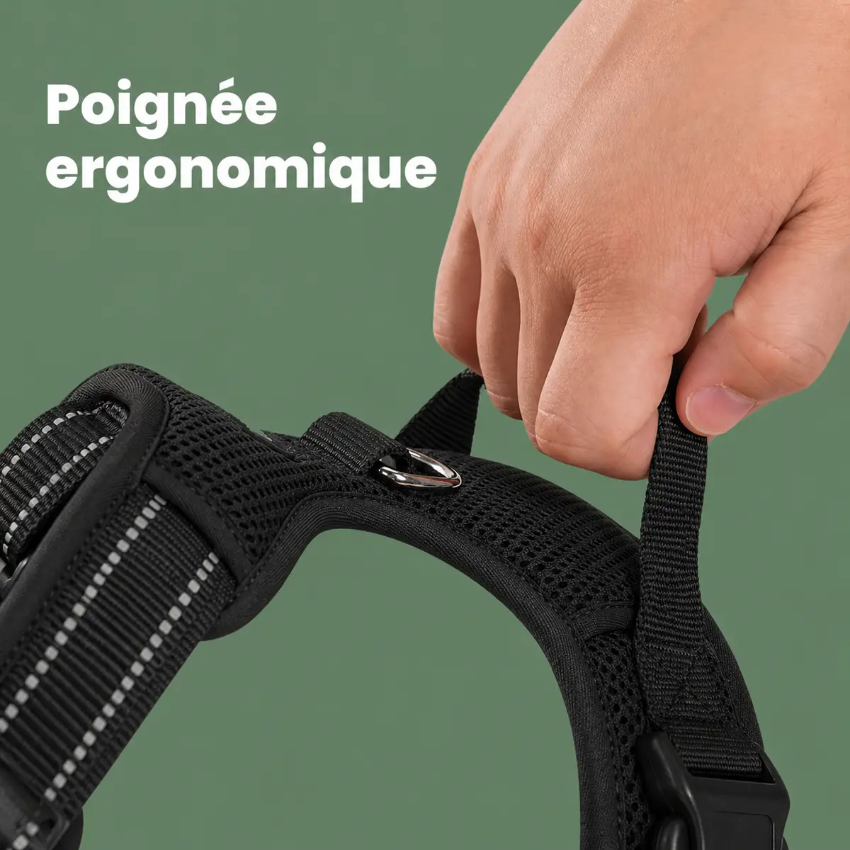 Inspection de la poignée dorsale et des coutures du harnais Premium